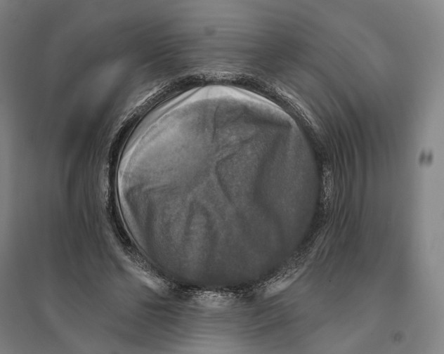 X0000095110494200712301740