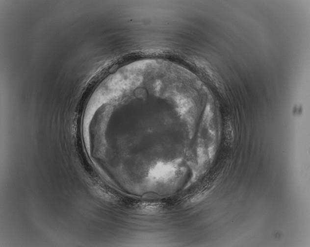 X0000095110495200712301740