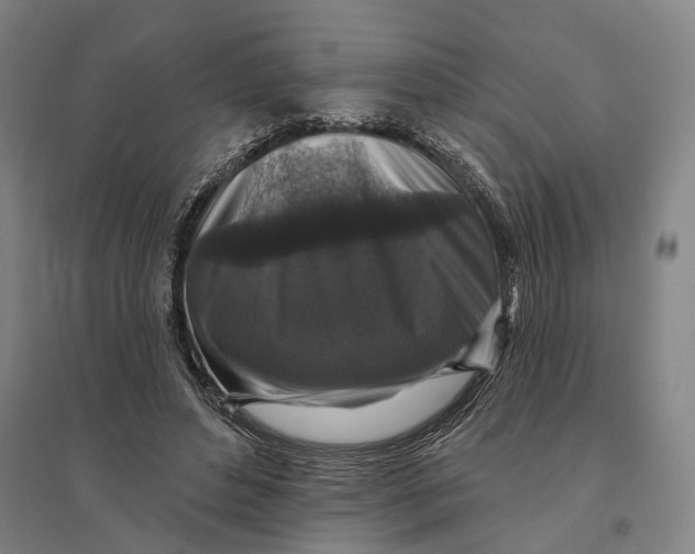 X0000095110496200712301740