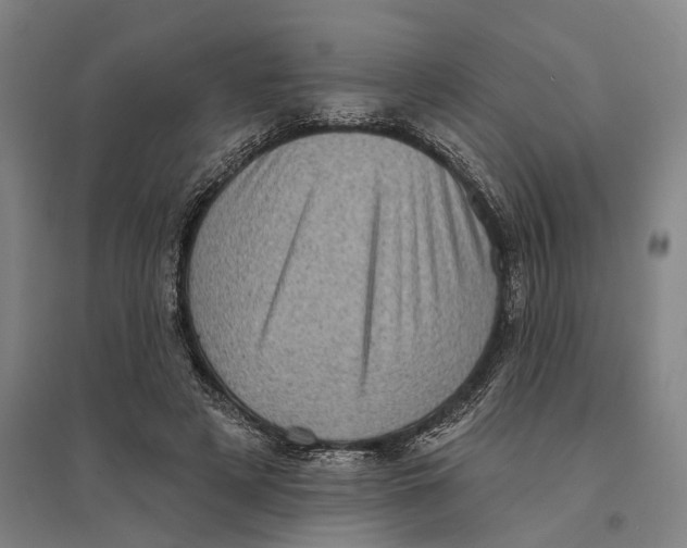 X0000095110497200712301740