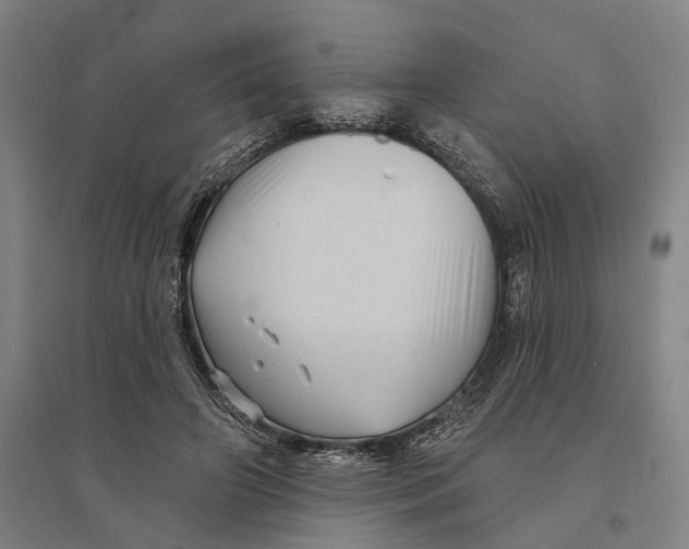 X0000095110498200712301740