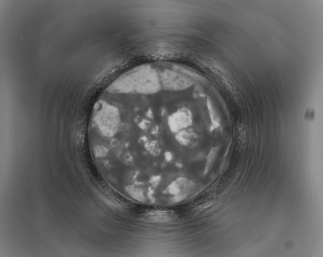 X0000095110499200712301740