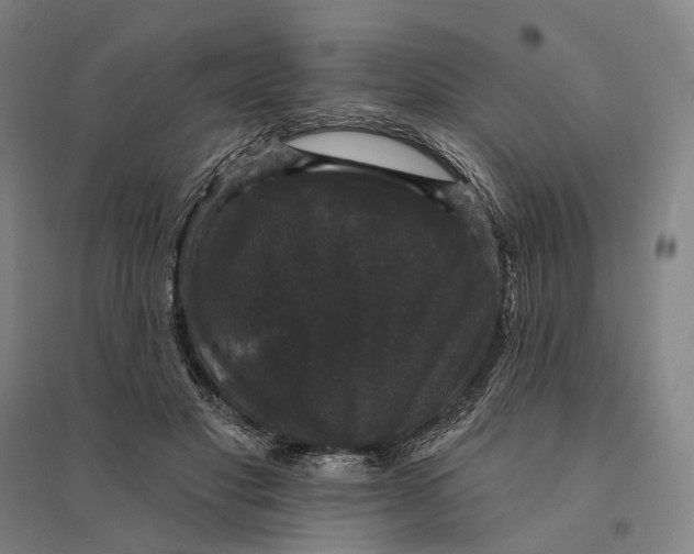 X0000095110501200712301740