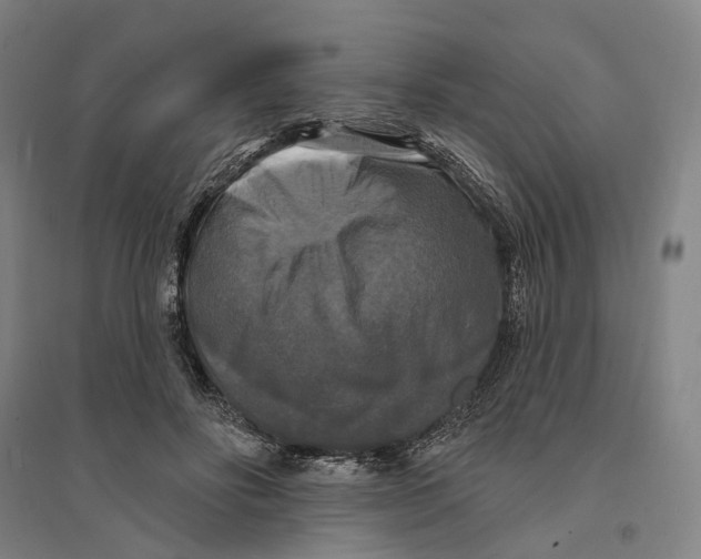 X0000095110502200712301740