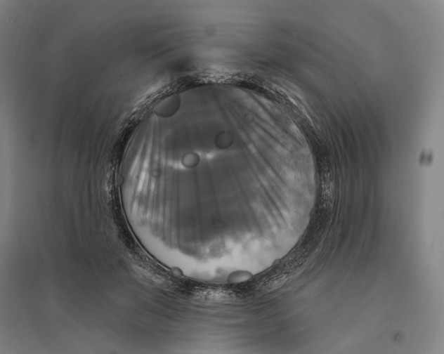 X0000095110503200712301740