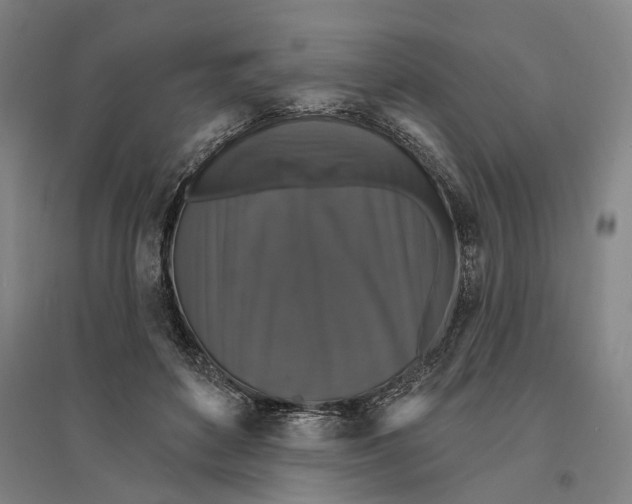 X0000095110504200712301740