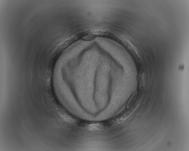 X0000095110505200712301740