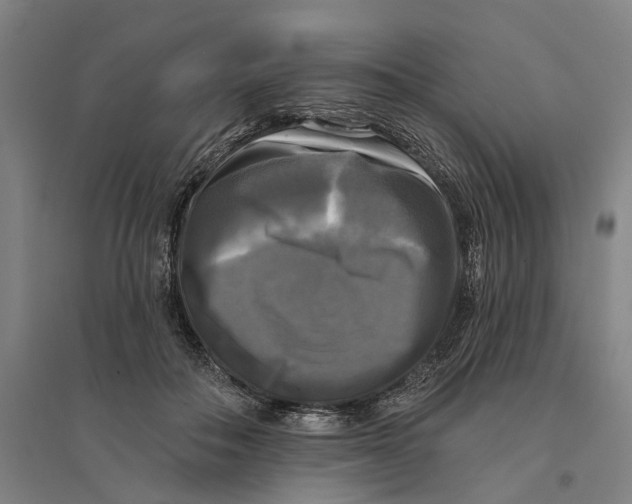 X0000095110506200712301740