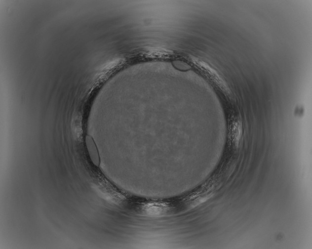 X0000095110508200712301740