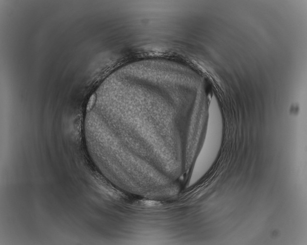 X0000095110509200712301740