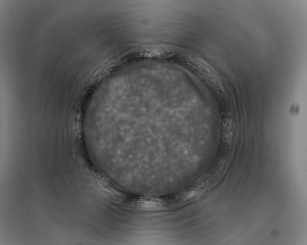 X0000095110510200712301740