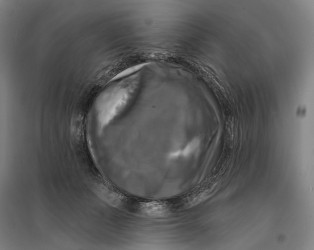 X0000095110511200712301740