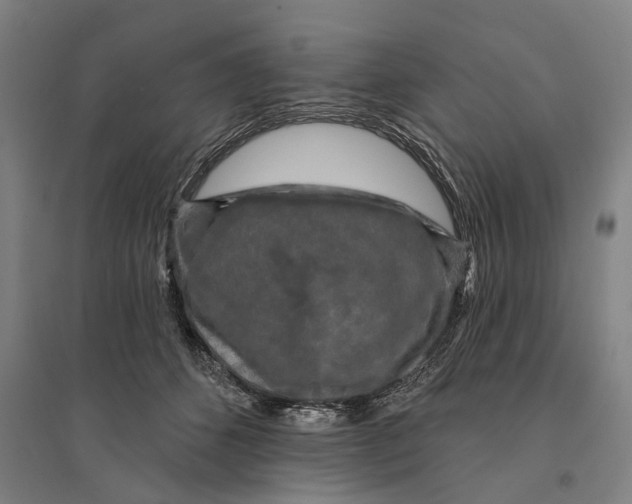 X0000095110512200712301739