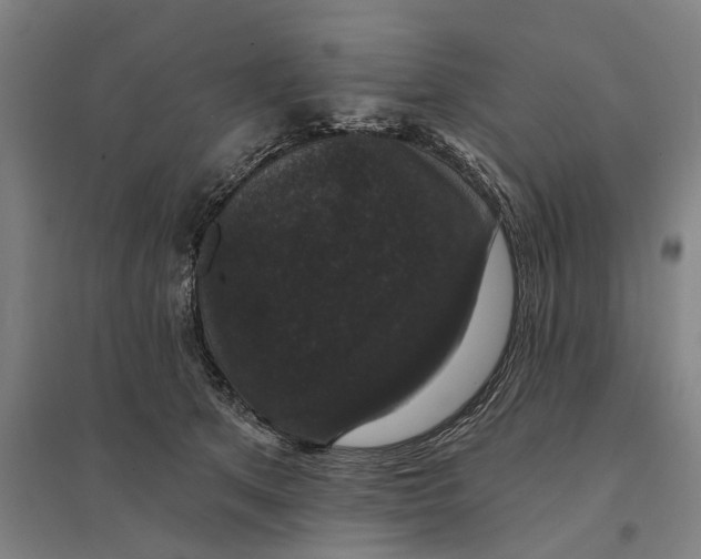 X0000095110513200712301739