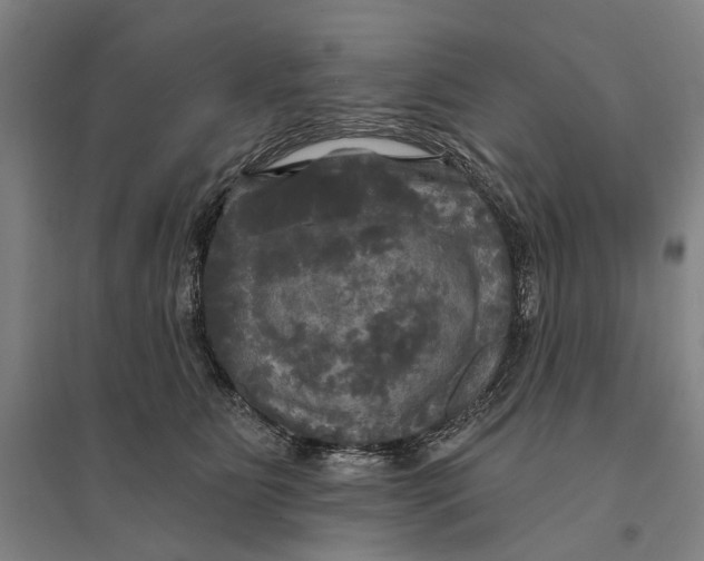 X0000095110515200712301739