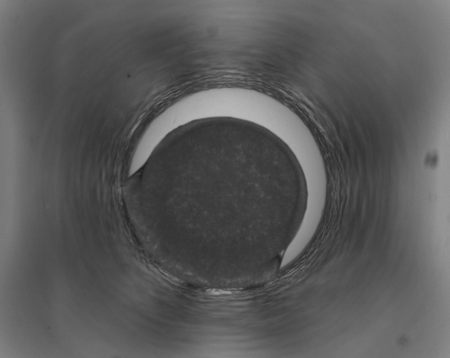 X0000095110516200712301739