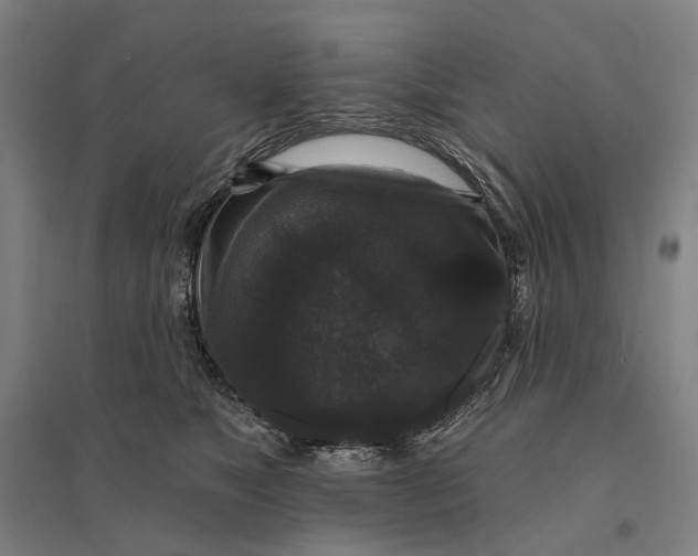 X0000095110517200712301739