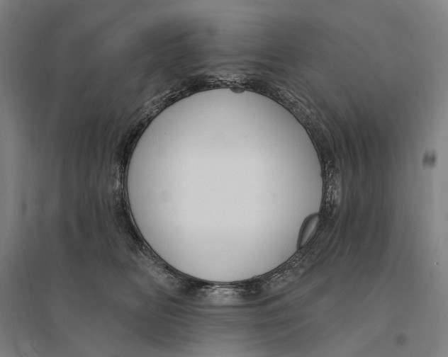 X0000095110518200712301739