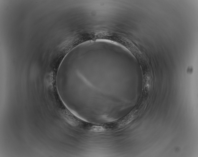 X0000095110519200712301739