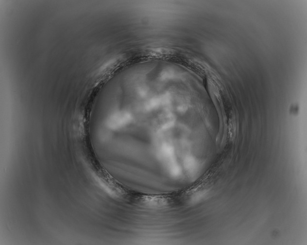 X0000095110520200712301739