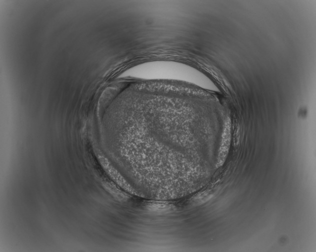 X0000095110521200712301739