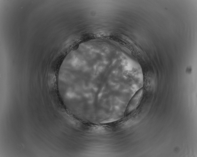 X0000095110523200712301739