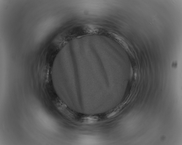 X0000095110525200712301739