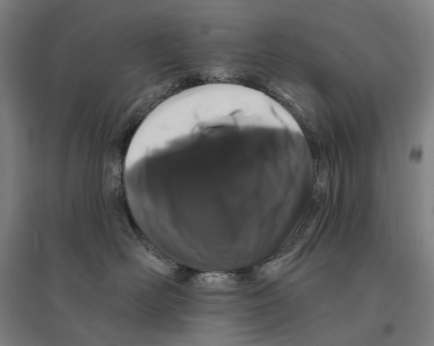 X0000095110526200712301739