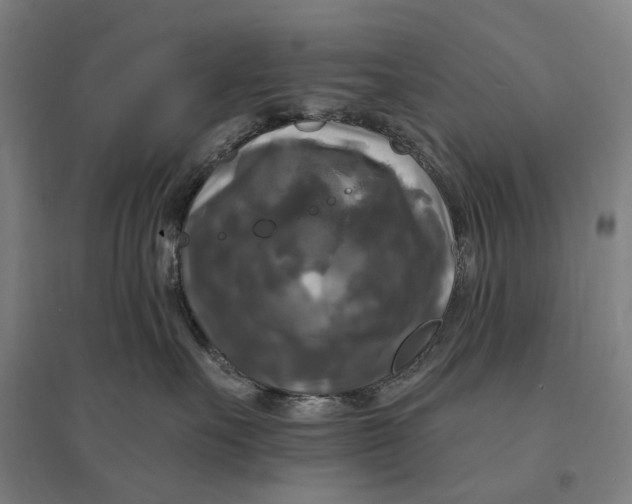 X0000095110527200712301739