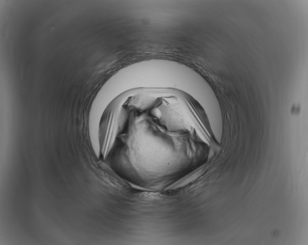 X0000095110528200712301739