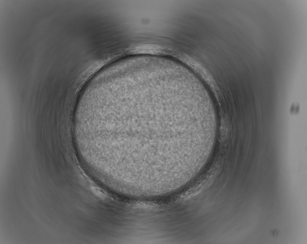 X0000095110529200712301739