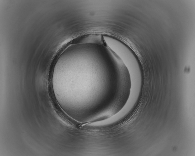 X0000095110530200712301739