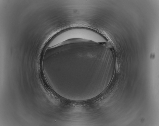 X0000095110531200712301739