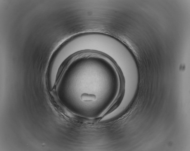 X0000095110532200712301739