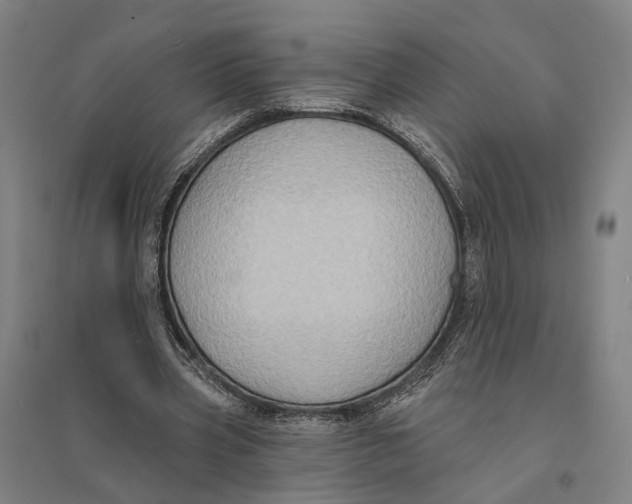 X0000095110533200712301739