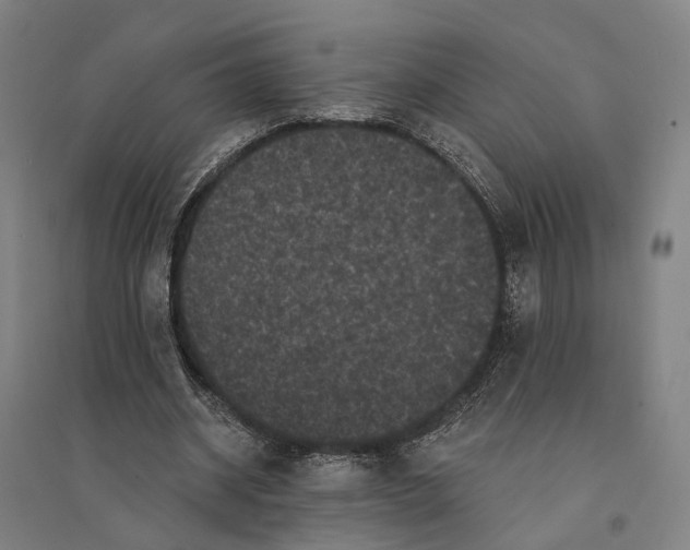 X0000095110534200712301739