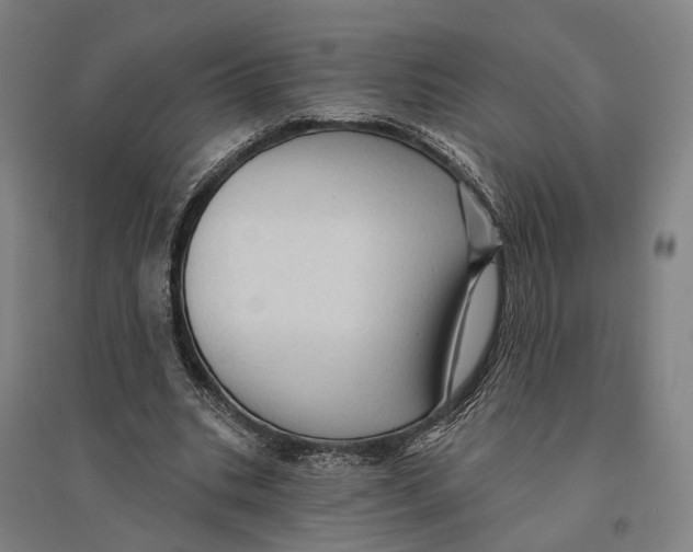 X0000095110535200712301739