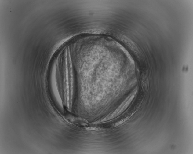 X0000095110536200712301739