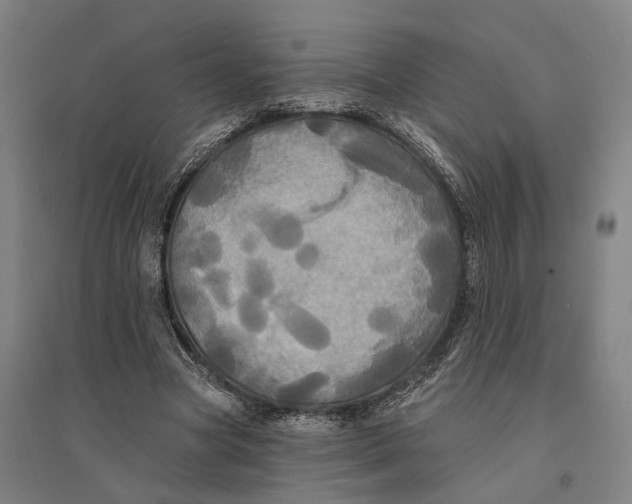 X0000095110537200712301739