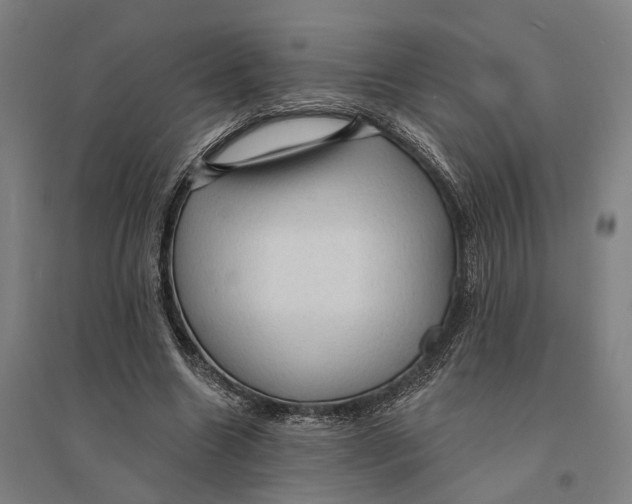 X0000095110538200712301739