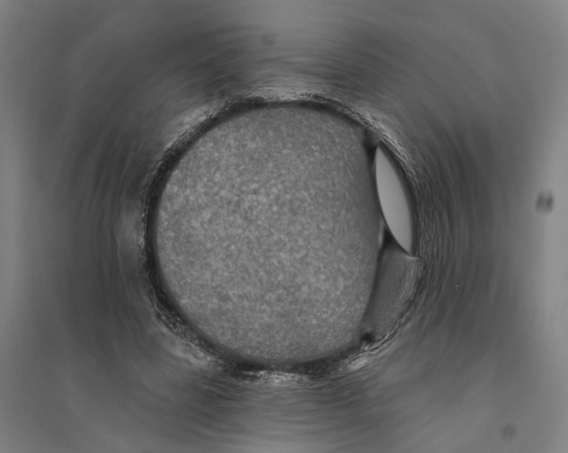 X0000095110539200712301739