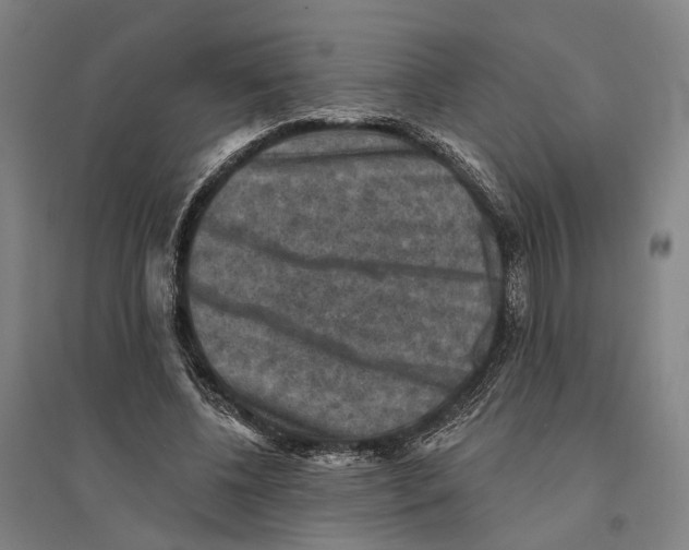 X0000095110540200712301739