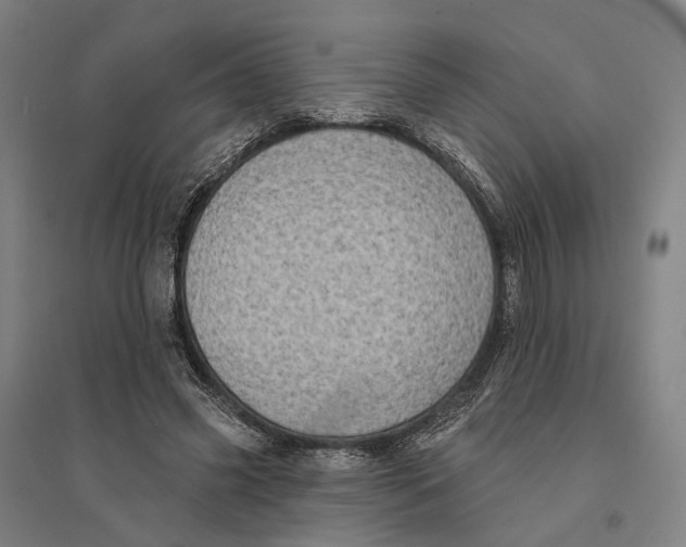 X0000095110541200712301739