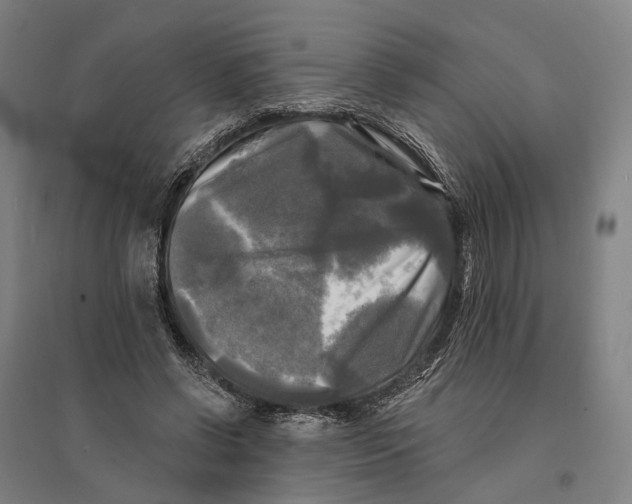 X0000095110542200712301739