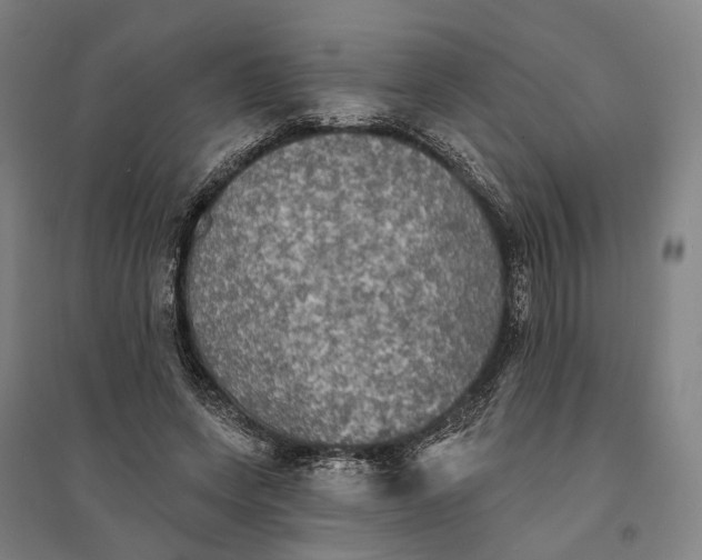 X0000095110543200712301739