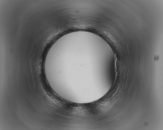 X0000095110544200712301739