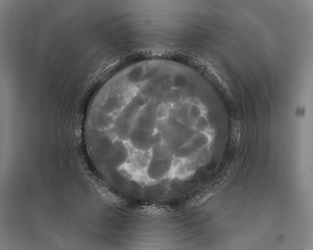 X0000095110545200712301739