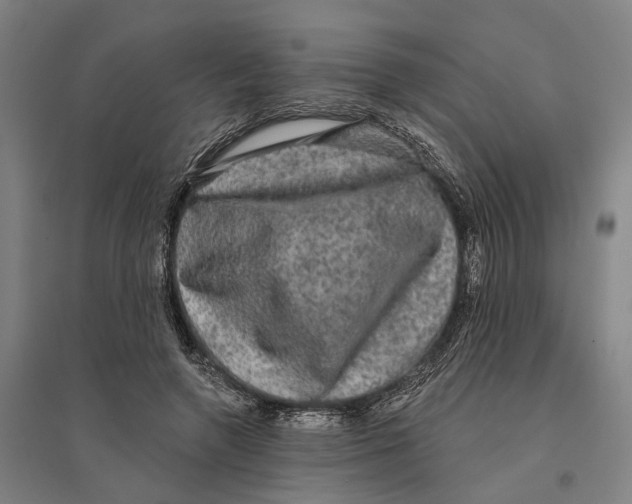 X0000095110546200712301739