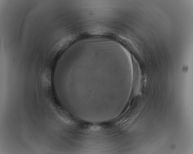 X0000095110547200712301739