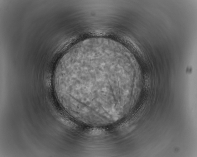 X0000095110549200712301739